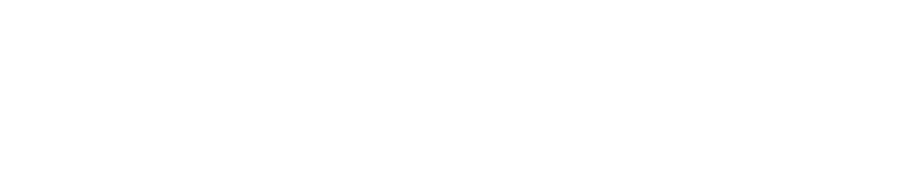 Pegasus CaptaFlow